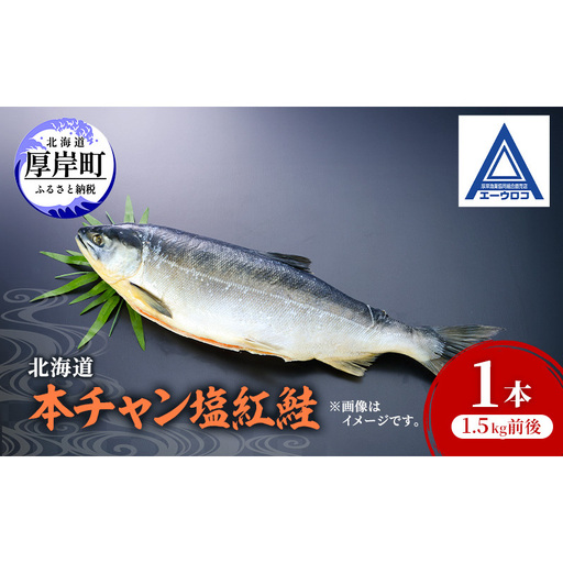 北海道 本チャン 塩紅鮭 1本 1.5kg前後 [ 鮭 サケ 紅鮭 紅サケ 魚 産地直送 焼き魚 ]