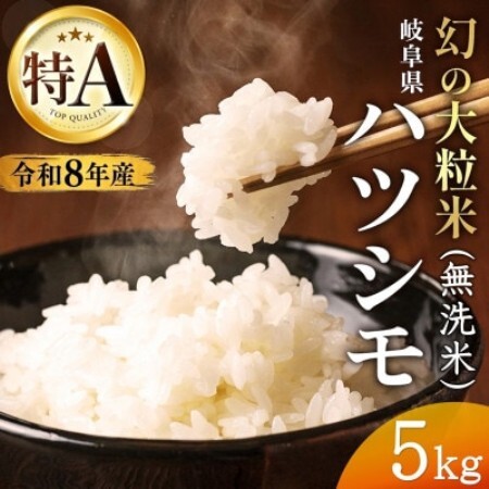 【先行受付】令和8年産　岐阜県産ハツシモ(無洗米)5kg【1757853】