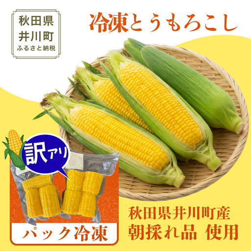 とうもろこし 1.5kg 冷凍トウモロコシ 秋田県産 パック 訳あり