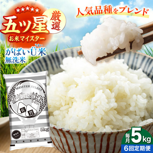 【全6回定期便】がばいU米（うまい）無洗米 5kg 【大塚米穀店】[HBL156]