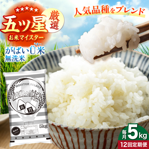 【全12回定期便】がばいU米（うまい）無洗米 5kg 【大塚米穀店】[HBL157]