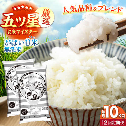 【全12回定期便】がばいU米（うまい）無洗米 10kg 【大塚米穀店】[HBL160]
