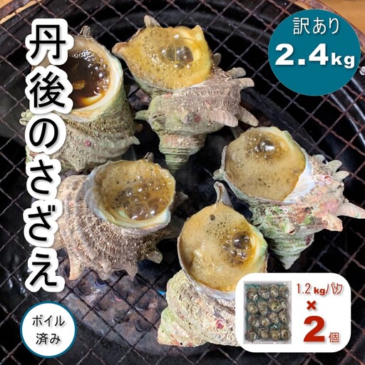 京都府産 さざえ(ボイル済)2.4kg(約24〜48個)