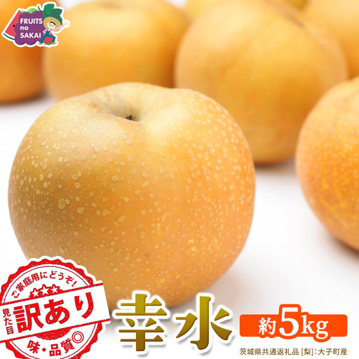 ＜ 訳あり ＞ 幸水 約5kg 【2026年8月より発送開始】（茨城県共通返礼品 [梨]：大子町産）