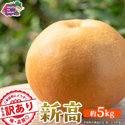 ＜ 訳あり ＞ 新高 約5kg 【2026年10月より発送開始】（茨城県共通返礼品 [梨]：大子町産）