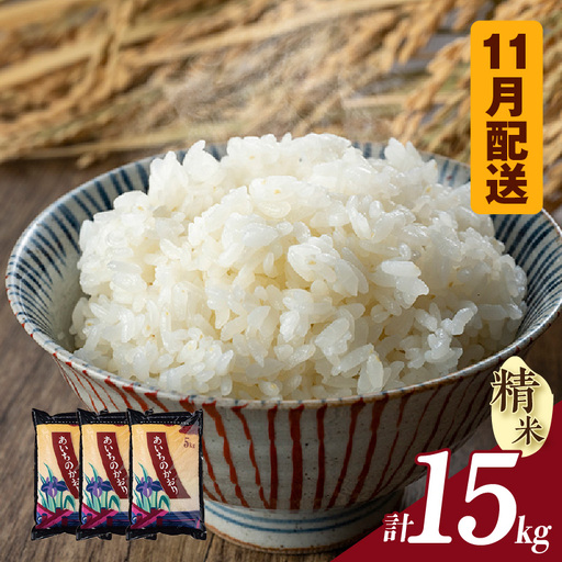 【令和８年産 先行予約】あいちのかおり（精米）15kg（11月発送）（3778）