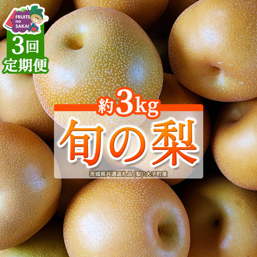 [定期便]3か月連続でお届け! 旬の梨 おまかせ 約3kg(茨城県共通返礼品 [梨]:大子町産)