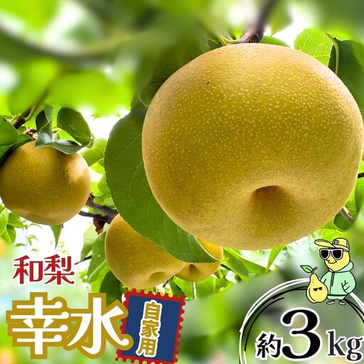 幸水 自家用 約3kg 令和8年 冷蔵 新潟県産 梨 三条ファームWIN