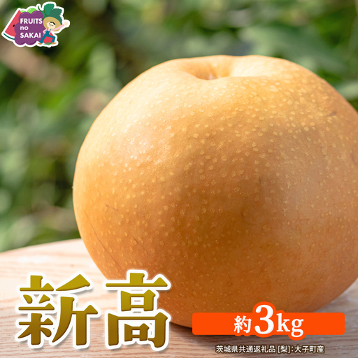 新高 約3kg [2026年10月より発送開始](茨城県共通返礼品 [梨]:大子町産)