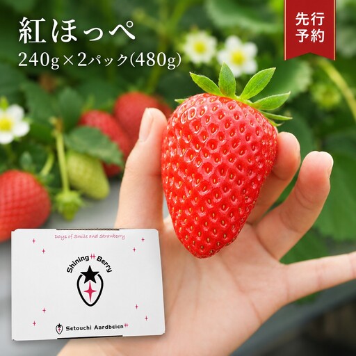【令和8年度 先行予約】【年明け発送】紅ほっぺ480g【240g×2パック】