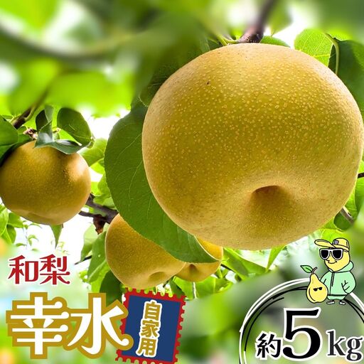 幸水 自家用 約5kg 令和8年度 冷蔵 新潟フルーツ 新潟県産 梨 三条ファームWIN