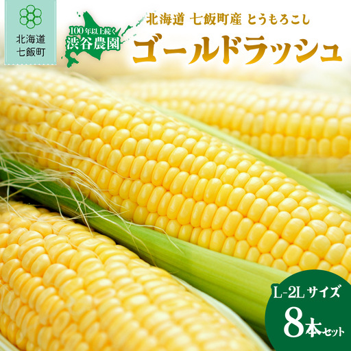 【先行予約 令和8年8月発送】北海道七飯町産 とうもろこし「ゴールドラッシュ」(L-2Lサイズ) 8本セット NABT006