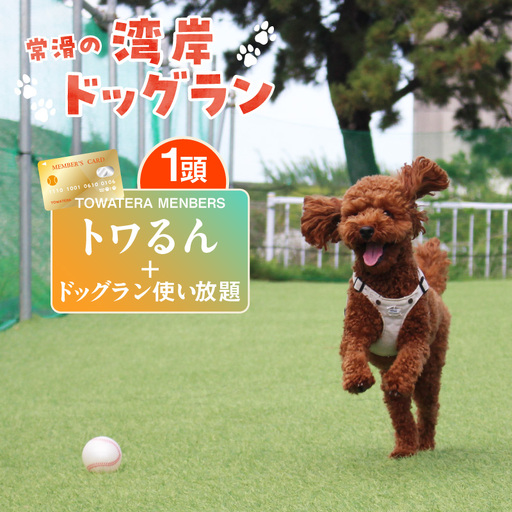 [TOWATERAメンバーズ]ドッグラン、ペットホテルなどをお得に利用できる「トワるん」会員入会+ドッグラン使い放題[1頭]|ペット 常滑市