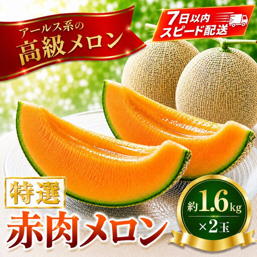 特選赤肉メロン約1.6kg×2玉  (2026年7月中旬頃から発送開始予定)