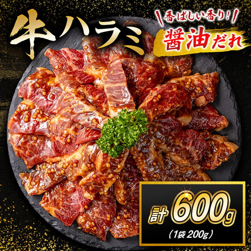 牛 ハラミ 600g（200g×3袋）