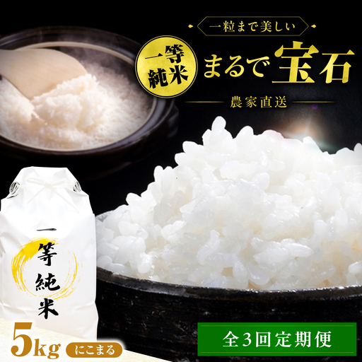 【3回定期便】 一等純米 にこまる 5kg / 米 お米 精米 白米 一等米 愛知県産 国産米 / 稲沢市 / 有限会社ハシモト耕販[BMBP005]