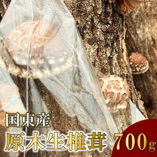 [先行予約]国東産 原木生しいたけ 700g 椎茸 シイタケ 国産 大分県_2767R