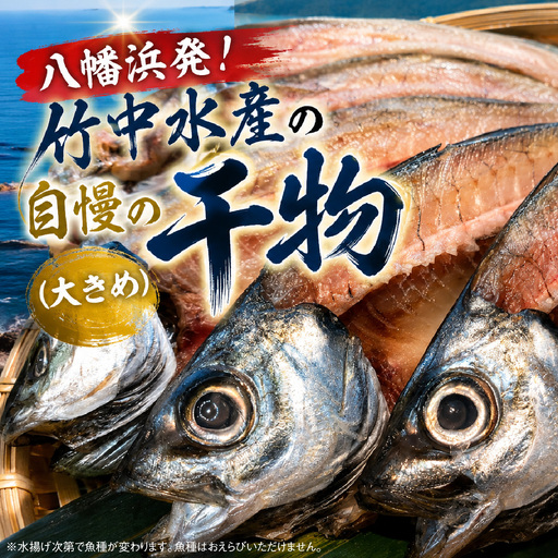 八幡浜発!竹中水産の地物の干物6枚セット(大サイズ)[22-295]Y