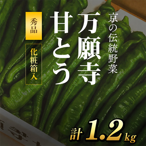 [2026年7月より順次発送予定] 万願寺甘とう 化粧箱入 秀品 計1.2kg 150g×8袋 京都丹の国農業協同組合