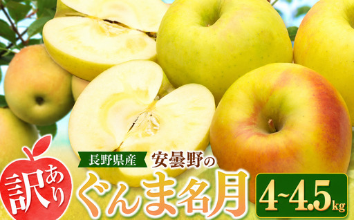 [2026年先行予約]訳あり ぐんま名月 4~4.5kg | 東印平林農園 エコファーマー認定