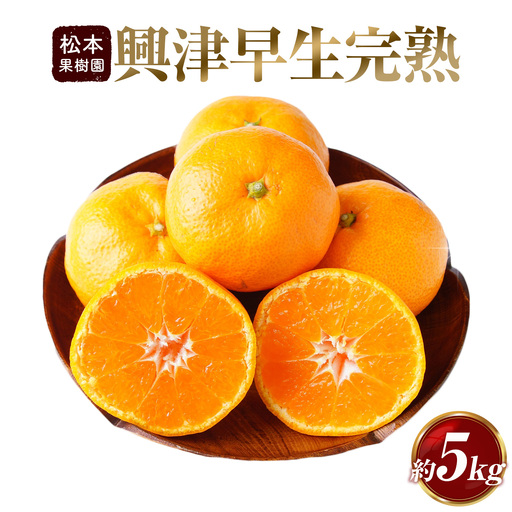 みかん 興津早生完熟 5kg 松本果樹園 《12月中旬-12月下旬出荷予定》 熊本県 苓北町 スイーツ デザート 果物 ミカン 蜜柑