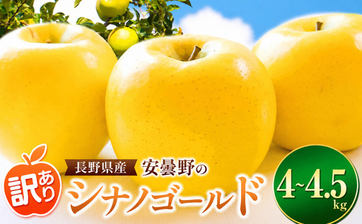 [2026年先行予約]訳あり シナノゴールド 4~4.5kg | 東印平林農園 エコファーマー認定
