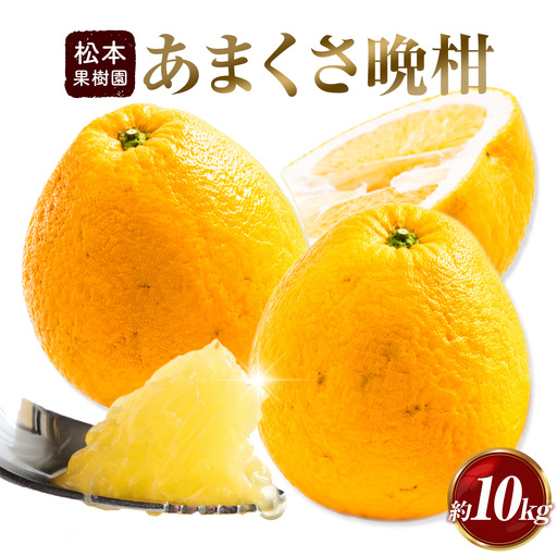 みかん あまくさ晩柑 10kg 松本果樹園 《5月上旬-5月下旬出荷予定》 熊本県 苓北町 スイーツ デザート 果物 ミカン 蜜柑
