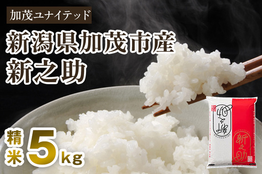 【寄附額見直し】【令和7年産】新潟県産 新之助 精米 5kg（5kg×1袋）《順次出荷》 東京・南青山の料亭で使用される極上米 加茂市 加茂ユナイテッド