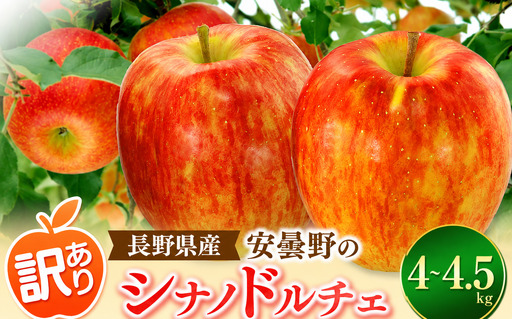 [2026年先行予約]訳あり シナノドルチェ 4~4.5kg | 東印平林農園 エコファーマー認定