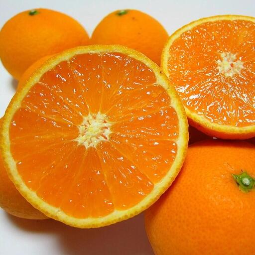 特撰　清見オレンジ 5kg+200g(補償分)【2027年2月下旬～5月上旬頃に順次発送予定】【ard240B】 