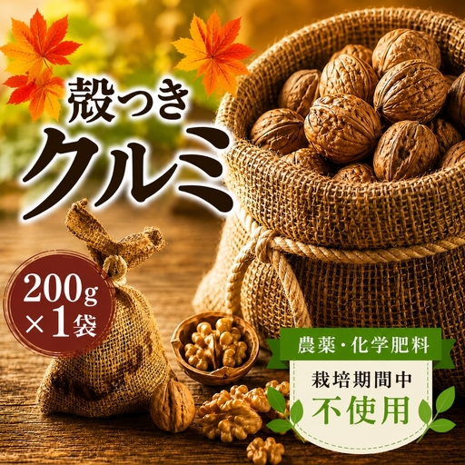 [2025年秋収穫] 殻つきクルミ 200g☓1袋 [農薬・化学肥料 栽培期間中不使用]