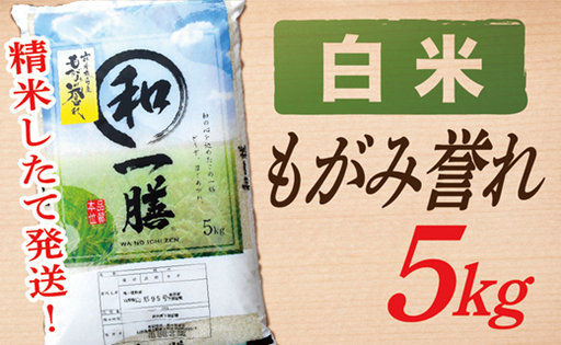 【令和8年産予約】【白米】山形県産もがみ誉れ5kg