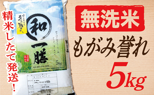 【令和8年産】【無洗米】山形県産もがみ誉れ5kg