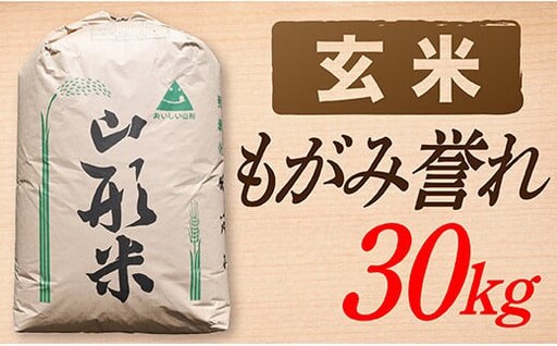 【令和8年産予約】【玄米】山形県産 もがみ誉れ 30kg