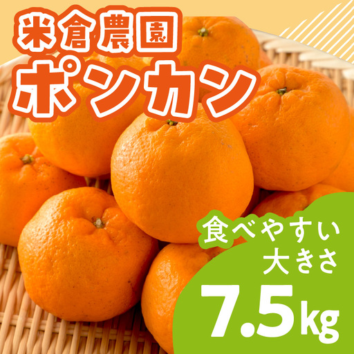 【1147-2】ポンカン 7.5キロ《先行予約2027年1月中旬頃より順次発送予定》