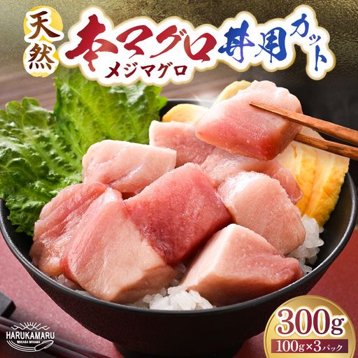 天然本マグロ (メジマグロ) 丼用カット300g(100g×3)[ 鮪 海鮮 ] [m36-a039]