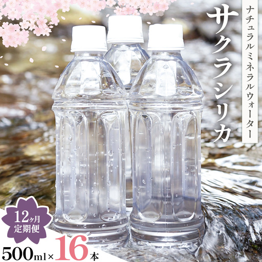 【12ヶ月定期便】サクラシリカ 500ml 16本 みずの里