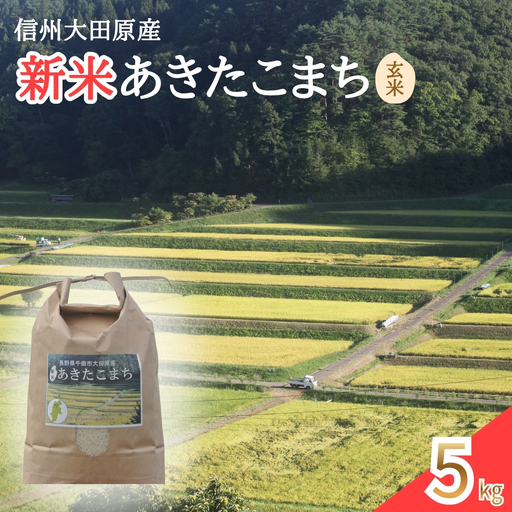 [2026年先行予約]信州大田原産 新米 あきたこまち玄米 5kg | あきたこまち 玄米