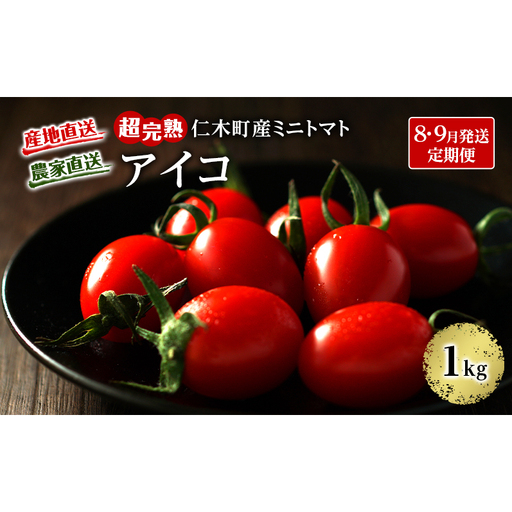 8・9月 2回発送[先行受付] 超完熟ミニトマト[アイコ]1kg 栽培期間中 農薬・除草剤不使用 サイズ混載 トマト ミニトマト アイコ 野菜 定期便 北海道 仁木町 [アイコファーム]