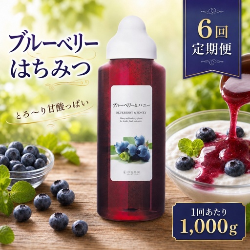 【 6回定期便 】＜ ブルーベリー ＞ 果汁入りはちみつ 1000g はちみつ ハチミツ 蜂蜜 ハニー 蜜 果汁 杉養蜂園 定期便