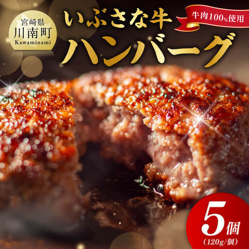 [川南町産]ブランド和牛 いぶさな牛ハンバーグ120g×5個 [ 宮崎県産 牛 ハンバーグ 黒毛和牛 ]