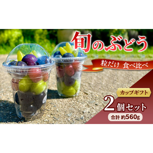 旬のぶどう 粒だけ 食べ比べ カップギフト 2個セット 約280g×2カップ 約560g 先行予約 産地直送 国産 ギフト 葡萄 ぶどう フルーツ 果物 数量限定 送料無料 人気 くだもの 期間限定