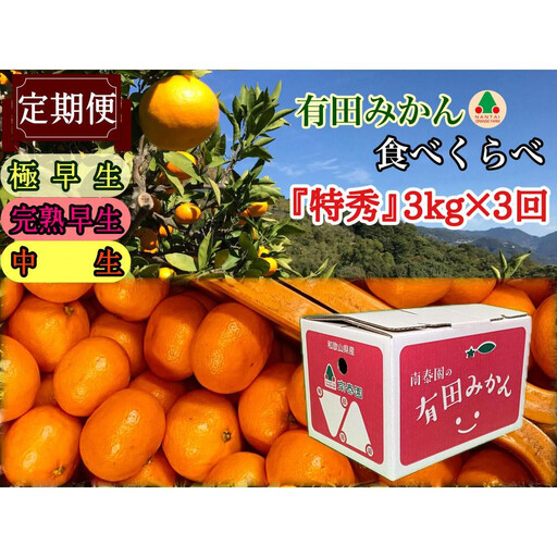 【 5年間 有田みかん 3種 食べくらべ ／ 全15回 】 特秀 3kg × 3回 × 5年 コース 南泰園 みかん