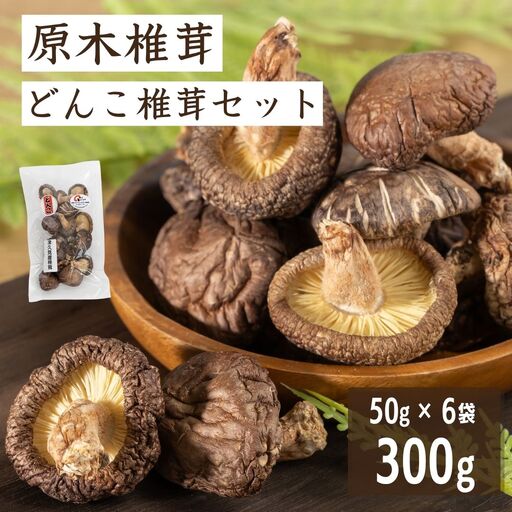 椎茸 津久見産原木どんこ椎茸 50g×6袋 | しいたけ