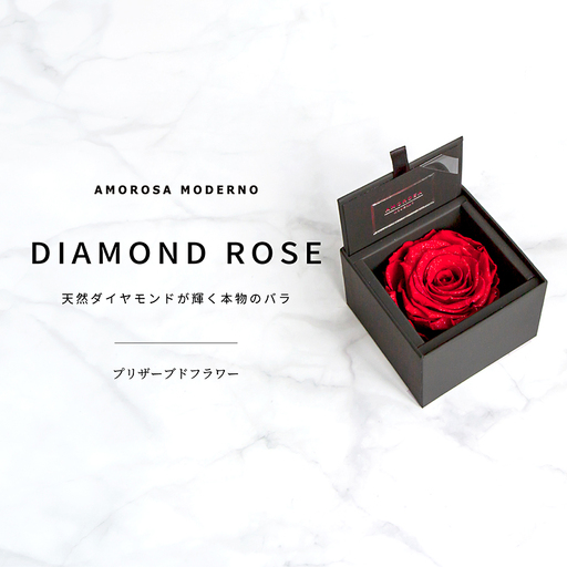 AMOROSA MODERNO ダイヤモンドローズボックス85 ブライトレッド [upel0001]