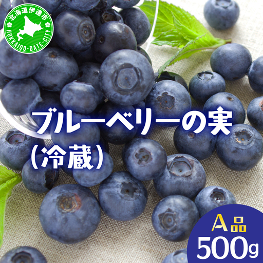 ブルーベリー(A品／冷蔵) 500g【kzh-022】