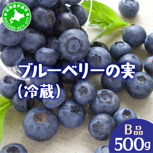 ブルーベリー 訳あり(B品／冷蔵) 500g【kzh-023】 | 北海道伊達市