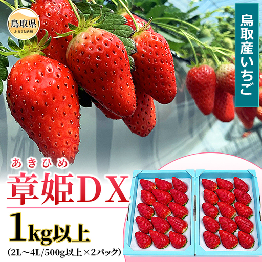 鳥取産いちご　章姫　あきひめ　DX　1kg以上　甘くて大きく美味しい　とみハウス【期間･数量限定】_T2600528