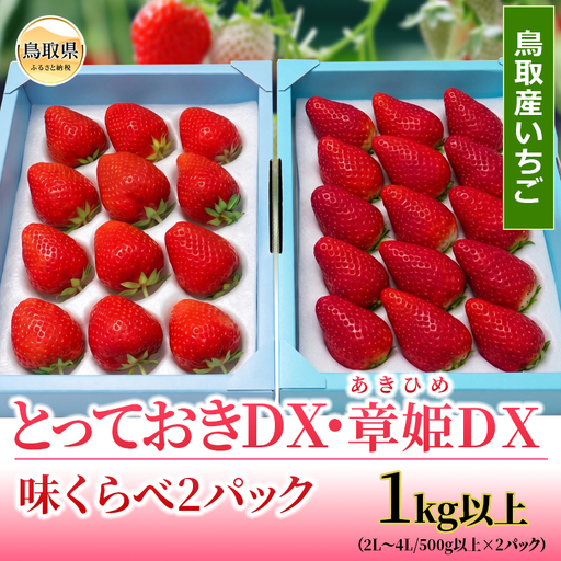鳥取産いちご　とっておき・章姫（あきひめ）味くらべ2パック（各1パック）セット１kg以上　鳥取県オリジナル品種　限定ブランド　甘くて大きく美味しい　とみハウス【期間･数量限定】_T2600529