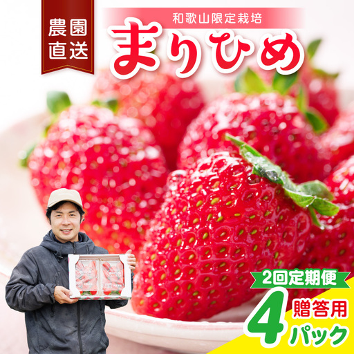 【2回定期便】毎月届く幸せ「まりひめ」を農家直送で【贈答用】4パック ＜固定月配送＞ 【配送不可地域：北海道・青森・秋田・岩手・沖縄・離島】【8071】